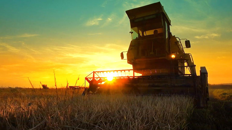 Thumbnail for Harvest Season for Midwestern Farms Video