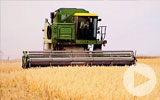 Thumbnail for America's Heartland Season 11 Episode 3