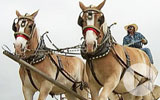 Thumbnail for America's Heartland Season 11 Episode 6