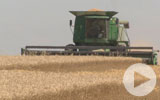 Thumbnail for America's Heartland Season 11 Episode 12