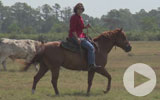 Thumbnail for America's Heartland Season 11 Episode 14