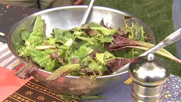 Spicy Altitude Greens