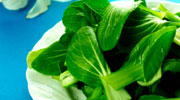 Green Salad with Garlic Dressing