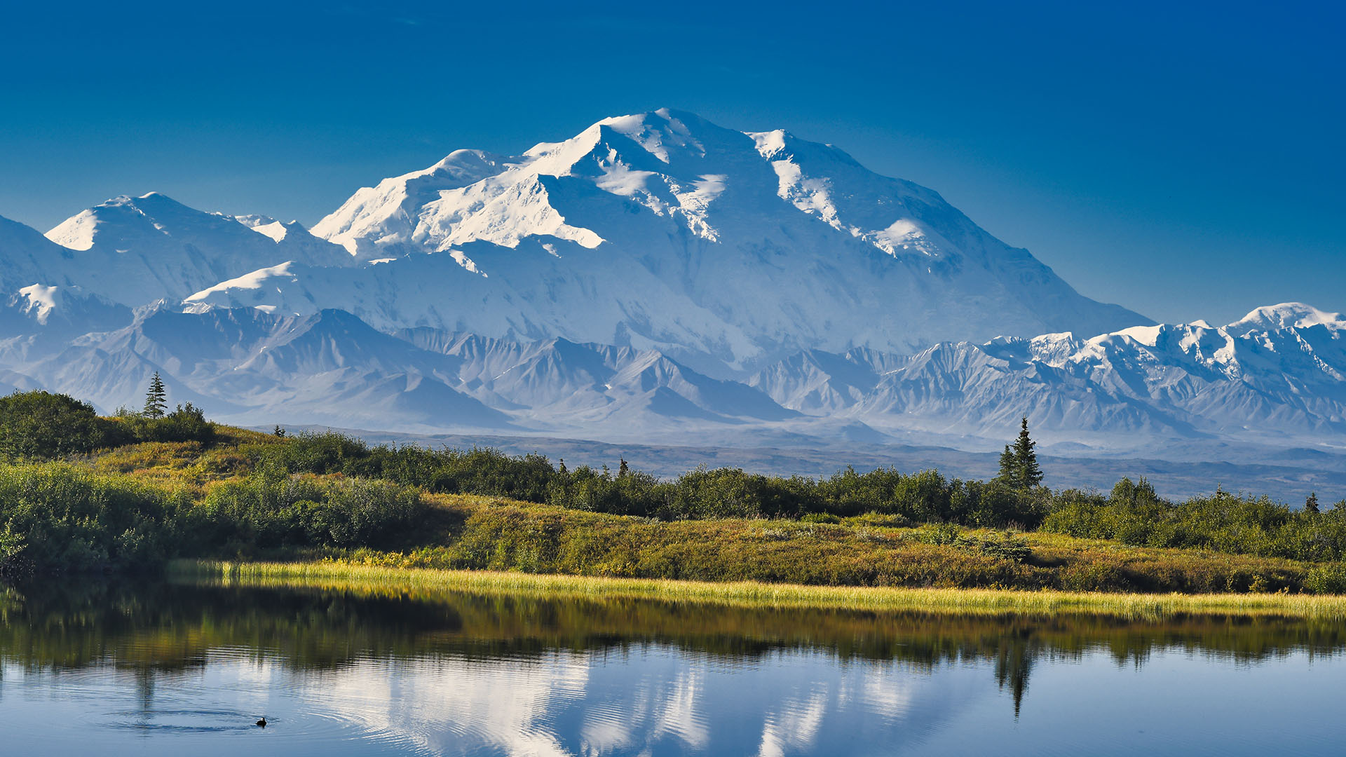 Alaska Cruise Tours Land And Sea