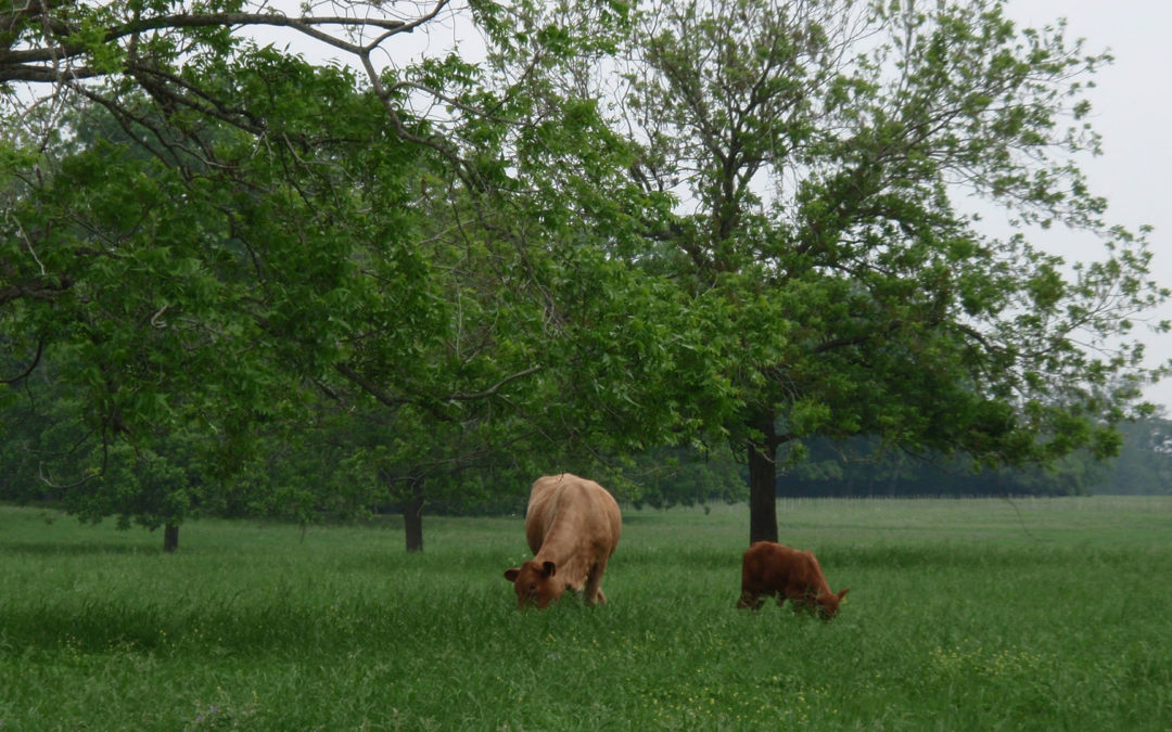 Texas