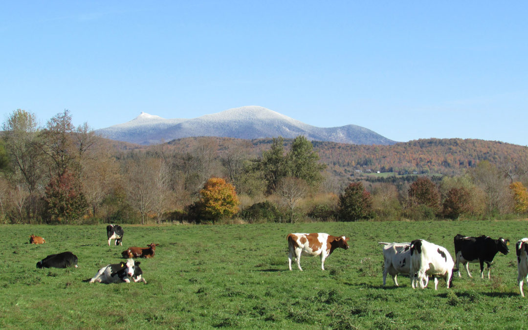 Vermont
