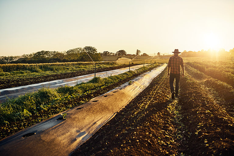 Shot of a young farmer walking between beds of herbs on his farm