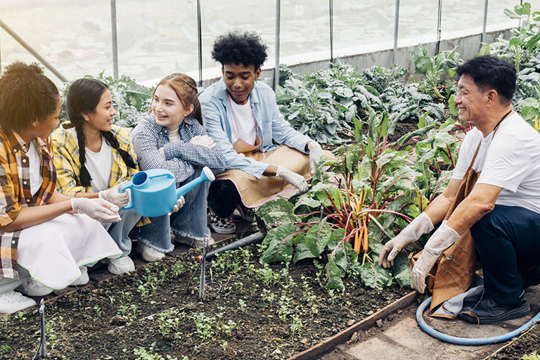 Teenagers learn about vegetable gardening