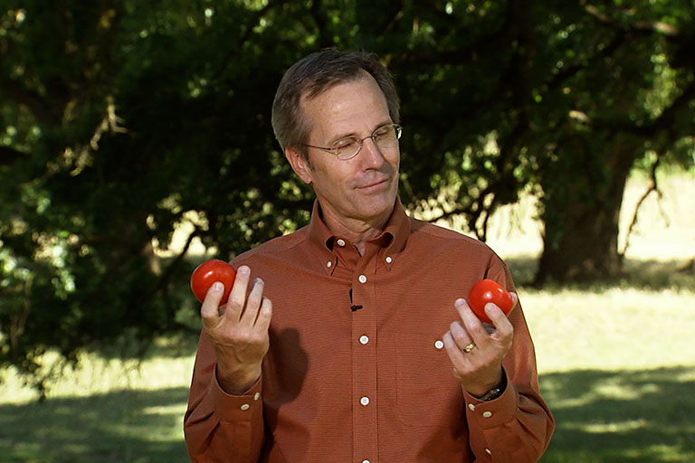 Harvesting Knowledge: Tomatoes