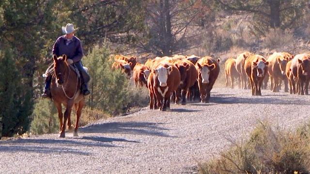 Thumbnail for Season 10 of America's Heartland